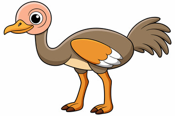 Ostrich Bird Vector Illustration