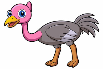 Ostrich Bird Vector Illustration