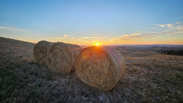 rotoballe in campo di grano al sorgere del sole in toscana