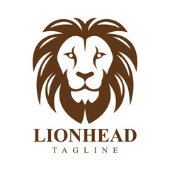 Lion head simple logo. Face of a lion logo symbol