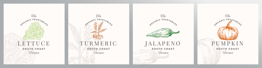 Organic Vegetables Logo Templates Set. Hand Drawn Lettuce, Pumpkin, Jalapeno and Turmeric Illustrations with Retro Typography. Premium Plant Based Vegan Food Badge Emblems Collection Isolated