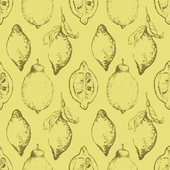 Vector hand-drawn lemons sketch. Seamless nature pattern. Fresh organic food. Pink background