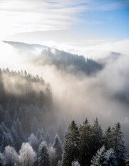 Misty landscape with fir forest in hipster vintage retro style