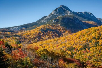 autumn landscape in mountains