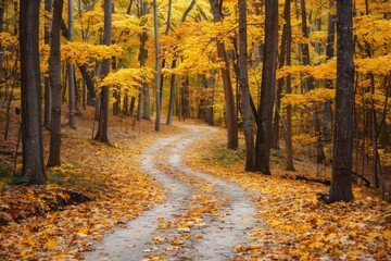 Obraz premium autumn landscape in mountains