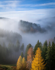 Panoramic view of colorful sunrise in mountains.Colorful Autumn Season