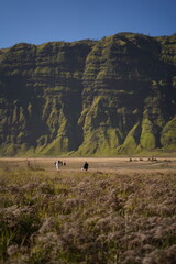 Obraz premium beautiful view of bromo mountain, indonesia