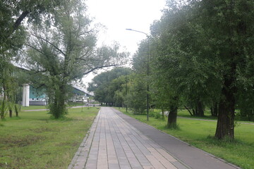 A street border painted white and blue against a road and green foliage in a summer close-up. Road safety, minimalism. 2