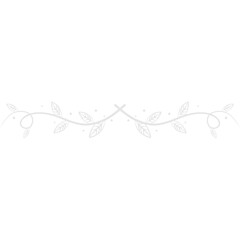Hand Drawn Leaves Divider
