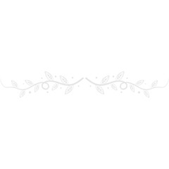 Hand Drawn Leaves Divider