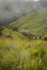 View of wide green grass in Indonesia