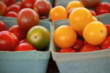 variety of cherry tomatoes in basket at farm market yellow and red fruits vegetables