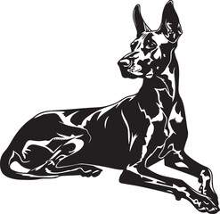 lying doberman pinscher dog