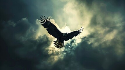 Obraz premium Silhouette of a bald eagle soaring against a dramatic sky filled with storm clouds.