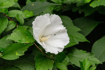 Open to all nature enthusiasts.