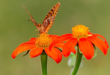 Breathtaking beauty surrounds each visitor.