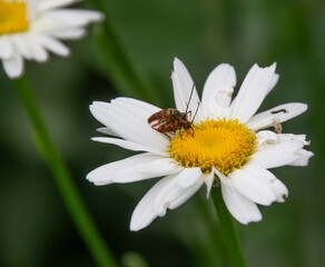 Every season brings new colors.