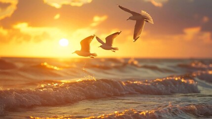 Fototapeta premium Silhouette of seagulls gliding gracefully over the ocean waves during golden hour.