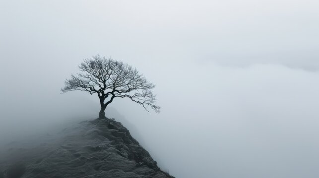 A lone tree stands on a foggy hilltop, creating an atmosphere of serene solitude and introspection in a minimalist and calm artistic style image.