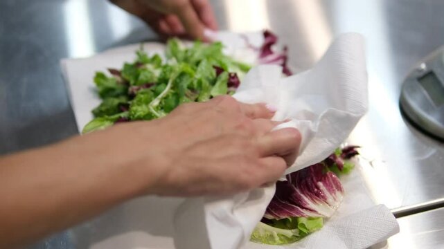 Drying washed lettuce leaves on a paper towel. blot the lettuce leaves with a paper towel