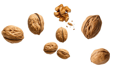 Falling walnuts, full body, on a transparent background