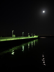 夜の港 釣り タテ