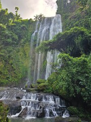 waterfall in the forest