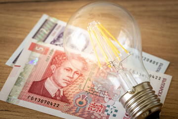 Glowing light bulb and Bulgarian money, concept, electricity price increases, home finances in Bulgaria, energy and electricity costs