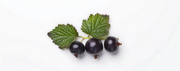 top view close up berry Black currant with leaf isolated on white background 