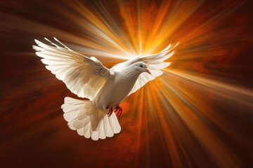 White dove symbolizes love and peace descending from heaven.