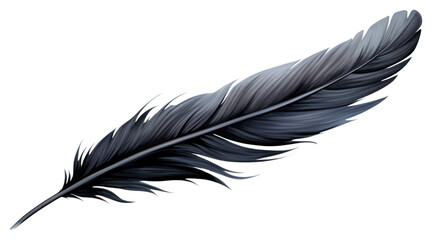 Fototapeta premium PNG Illustration Of black feather flying in action bottle animal shark.