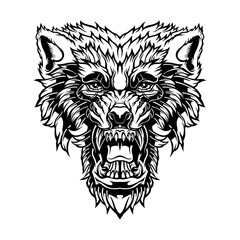 Obraz premium Head of a growling wolf. 