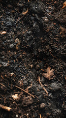 Detailed Close-Up of Rich, Organic Soil Teeming with Life and Decomposed Matter