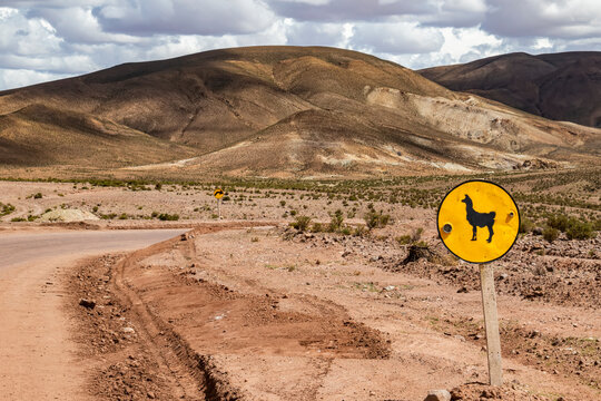 Lama crossing road sign on Carretera 701 in Bolivia;  Nor Lipez Province, Potosi Department, Bolivia