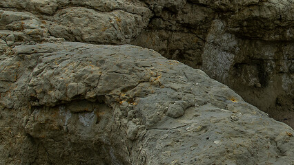 Punta cuevas cliffs detail, puerto madryn, chubut, argentina007