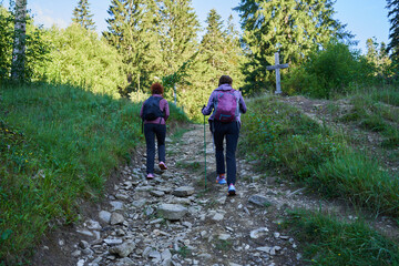 Obraz premium Women hikers with backpacks and poles in the forest