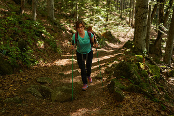 Women hikers with backpacks and poles in the forest