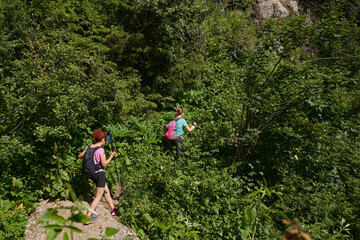 Women hikers with backpacks and poles in the forest