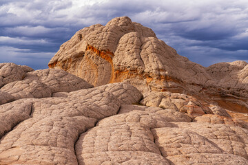 Eroded Navajo sandstone form patterns referred to as Brain Rocks, White Pocket, Arizona, USA