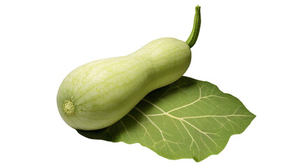 Healthy fresh vegetable bottle gourd