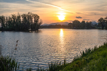 Obraz premium Sunrise at the pond, with the reflection of the sun on the water surface.