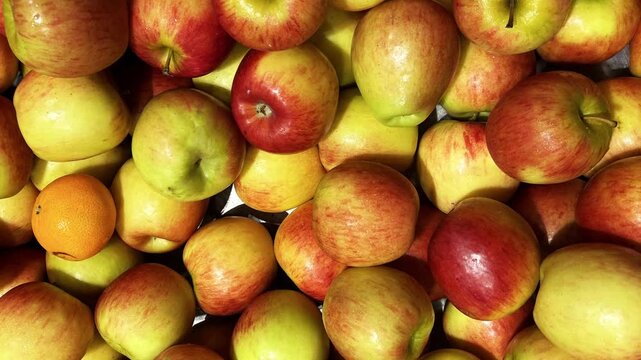 Fresh Apples fruit with top shot pattern, background rotation food, fresh and natural, organic and bio