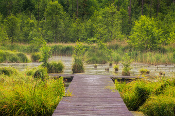 wooden bridge over the river