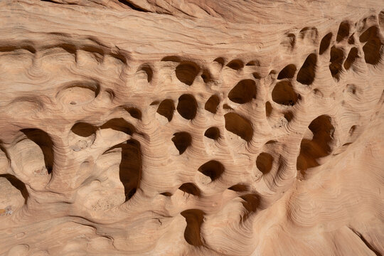 Close-up of erosion holes in cliff face; Little Wild Horse Canyon, Hanksville, Utah, United States of America