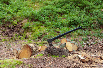 Old axe in stump. Axe ready for cutting timber. Woodworking tool. Lumberjack axe in wood, chopping timber. Banner with empty space