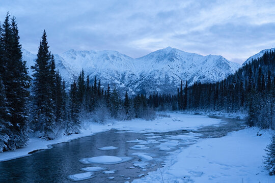 Winter sets in the Yukon as the mountains and trees surrounding the Wheaton River come alive in sublime snow and light; Yukon, Canada