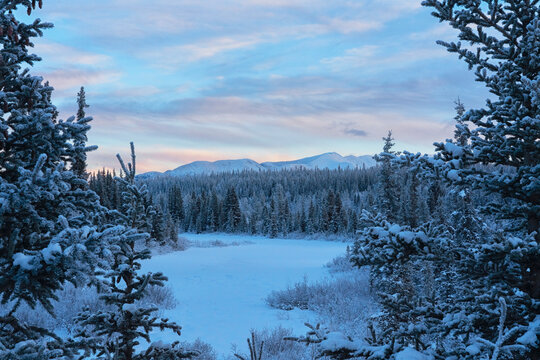 Views of winter landscapes along Annie Lake Road at twilight make for beautiful drives as sunrise begins to color the skies; Whitehorse, Yukon, Canada