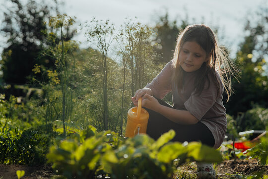 Girl watering plants in garden with yellow watering can at sunset