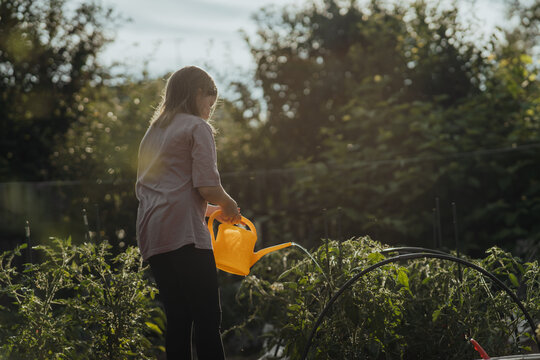 Young girl with long hair watering greens in the vegetable garden