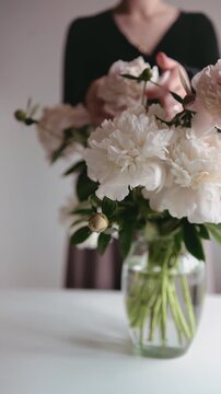 Elegant woman arranging peony flowers in a vase, faceless aesthetic video, vertical, regency style